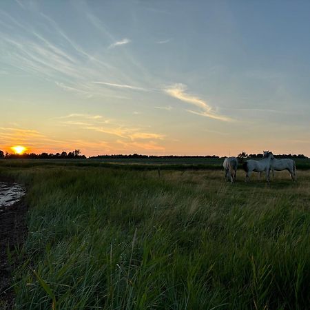 Nedlagt Gard I Naturen Med Ro Og Fred Og Samtidig Taet Pa Strand Og Fiskeri Og Indkobsmuligheder Nordborg Ngoại thất bức ảnh